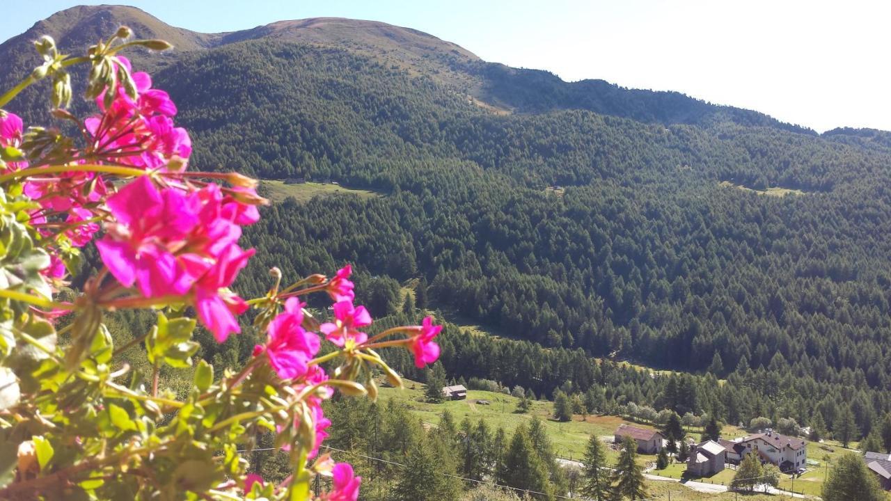 Belvedere Mountain Experience Monno Luaran gambar