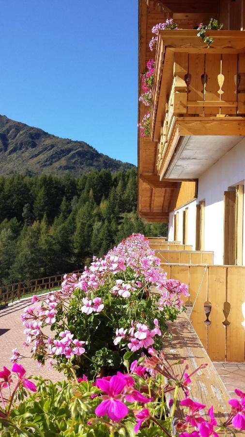 Belvedere Mountain Experience Hotel Monno Luaran gambar
